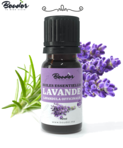 Huile Essentielle de Lavande Fine Pure