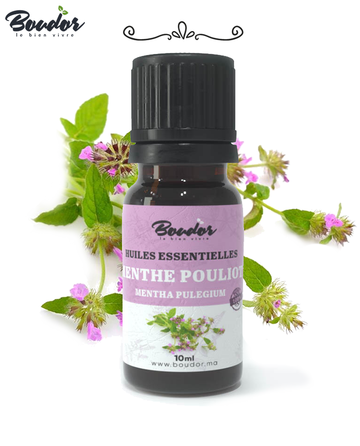 Huile Essentielle de Menthe Pouliot – 100% Pure et Naturelle