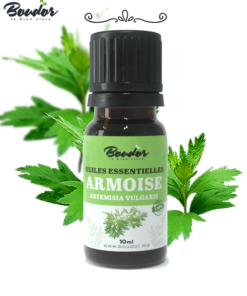 Huile Essentielle d'Armoise Pure - Bienfaits pour la Santé et le Bien-être