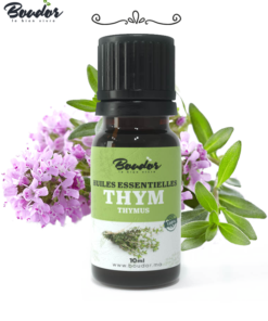 Huile Essentielle de Thym Naturelle et Pure